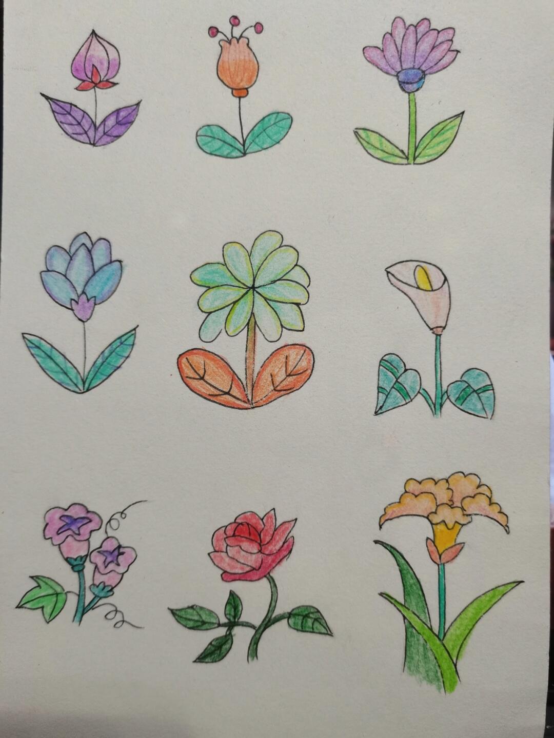 随手画个简笔画之小花花