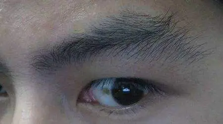 扫帚眉面相好不好