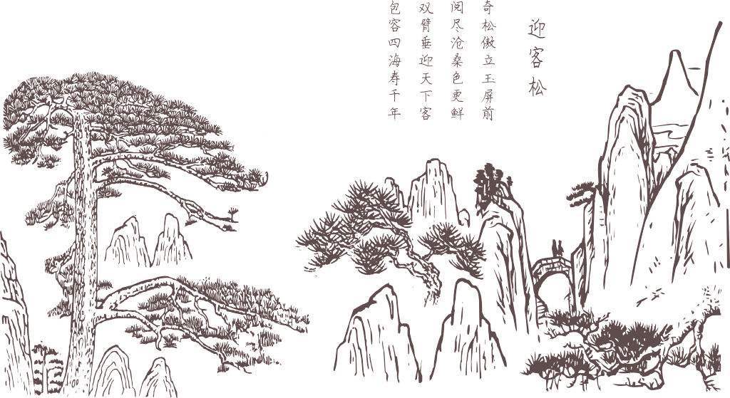 迎客松画图片