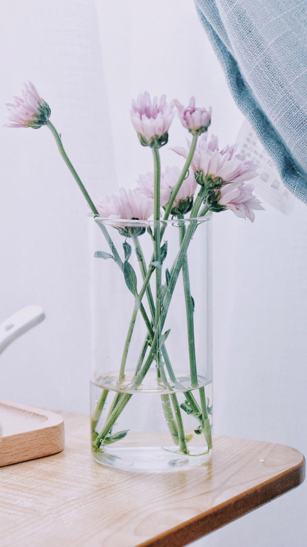 文艺小清新花卉唯美写真,高清图片,手机锁屏桌面-壁纸族