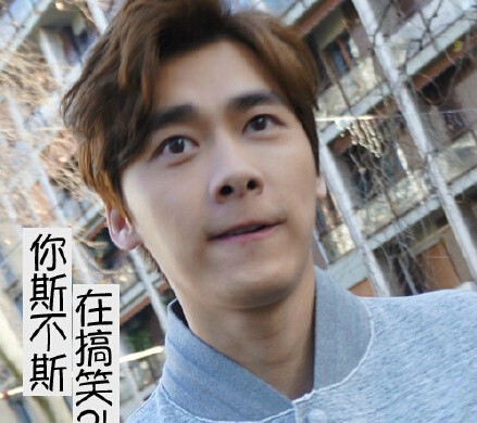 你斯不斯,在搞笑? - 还是我们的萌萌哒李易峰哦_李易峰_明星表情表情
