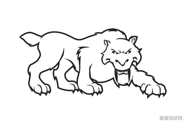 剑齿虎头像动物简笔画步骤图片大全一只霸气的剑齿虎简笔画史前动物