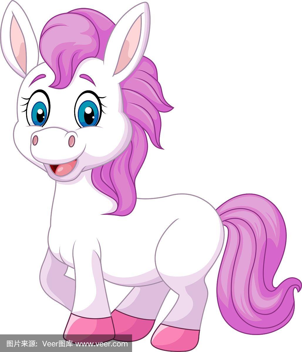 可爱的小马驹摆出孤立的姿势