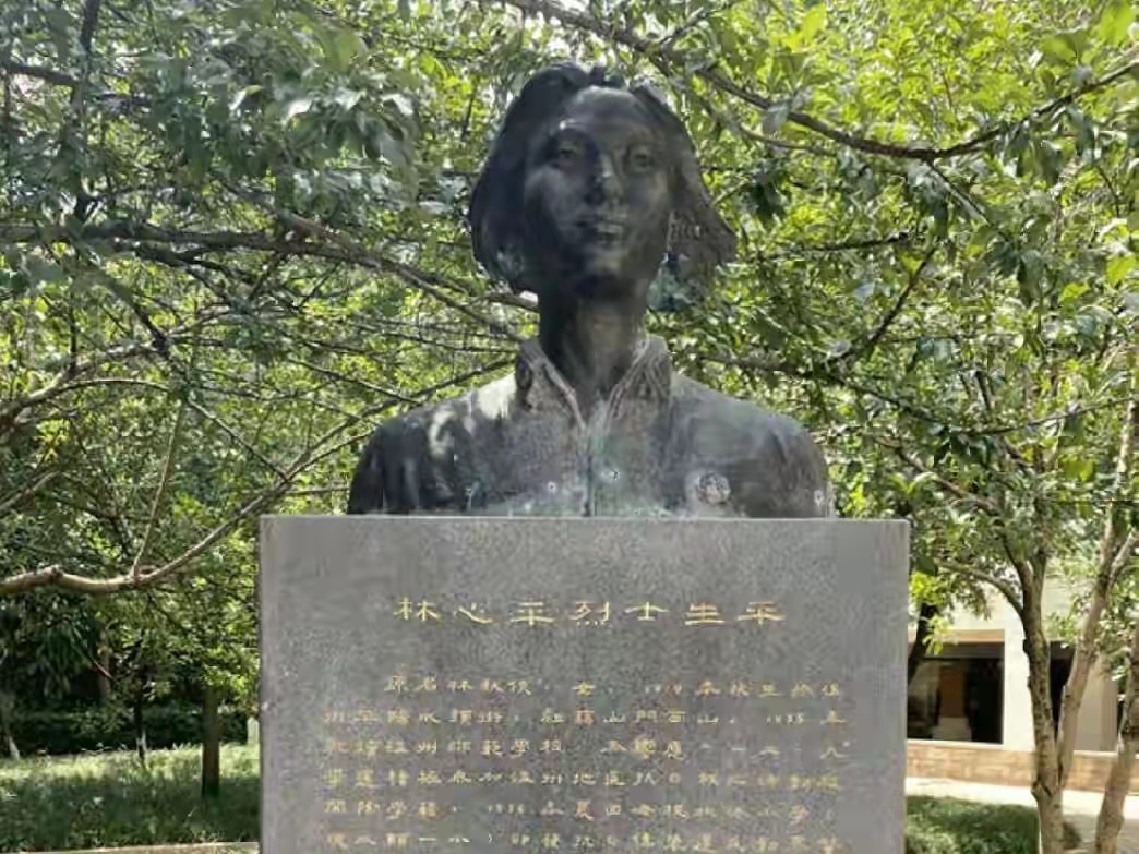 抗日女杰林心平,英勇不屈,成为日军的梦魇,被残忍扔进硫酸池