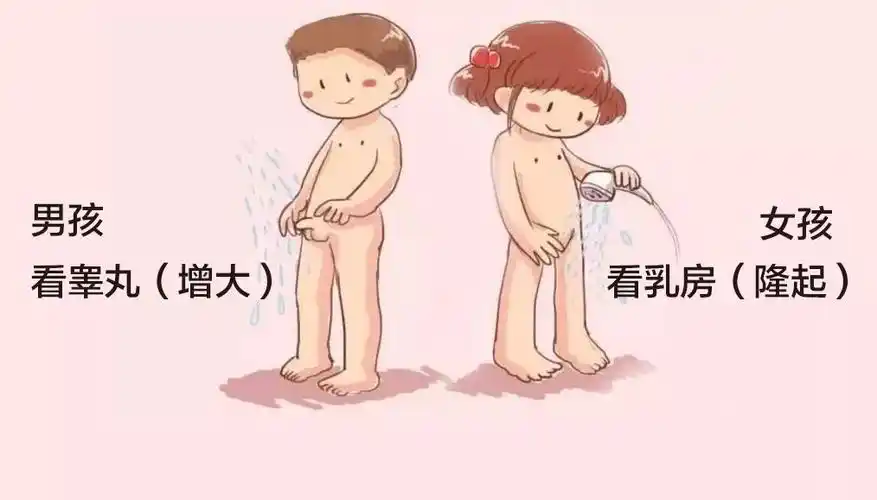 实际上芳华期起头的标记是女孩乳房,男孩睾丸起头发育