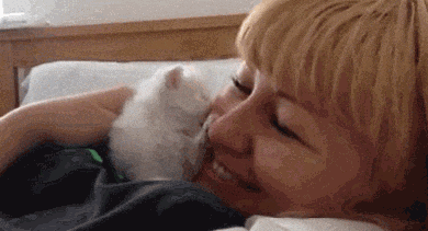 猫咪女人亲亲可爱gif动图_动态图_表情包下载_soogif