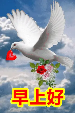 早安,早上好文案:天天心情好,快乐没烦恼!