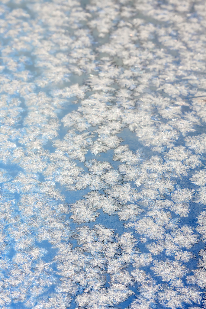 雪花飘落在冻结窗口