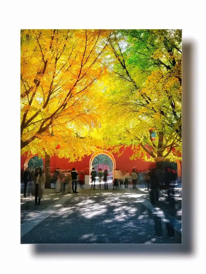 93中山公园北京秋天必去的景点   - 抖音