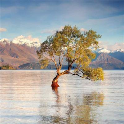 2021最美风景头像高清好看的2021最美微信风景图片