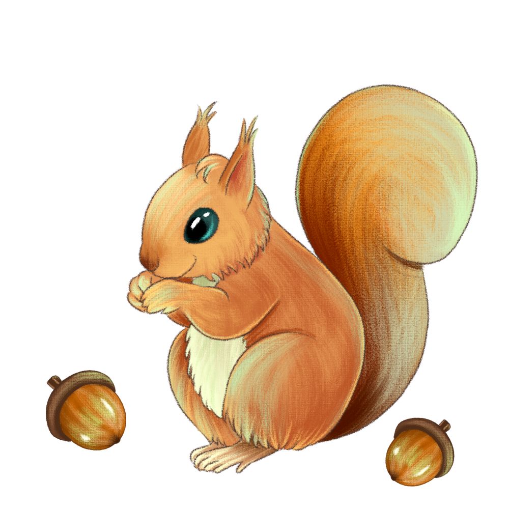 听着儿歌跟小松鼠一起来跳舞吧