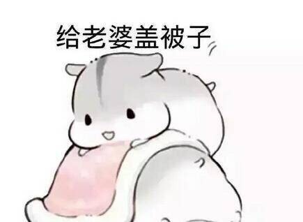 给老婆盖被子 - 爱老婆专用表情包_老婆_撩妹撩汉表情