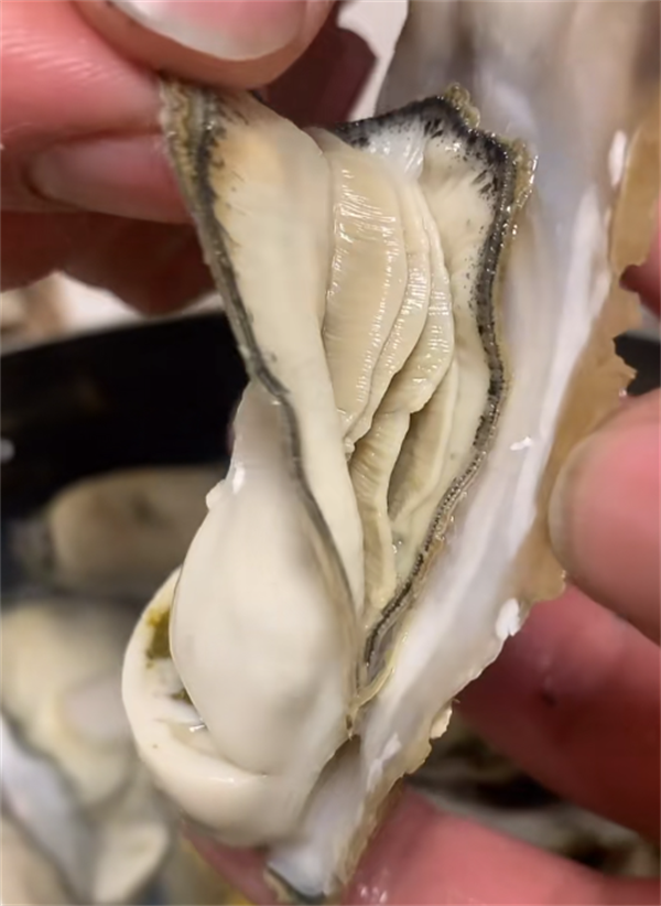 吃生蚝时,需要去掉内脏吗?老渔民告诉你答案,以后可别再吃错