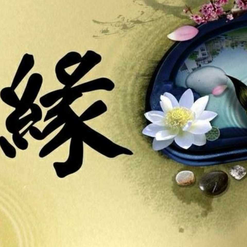 有缘才相遇相遇定有缘