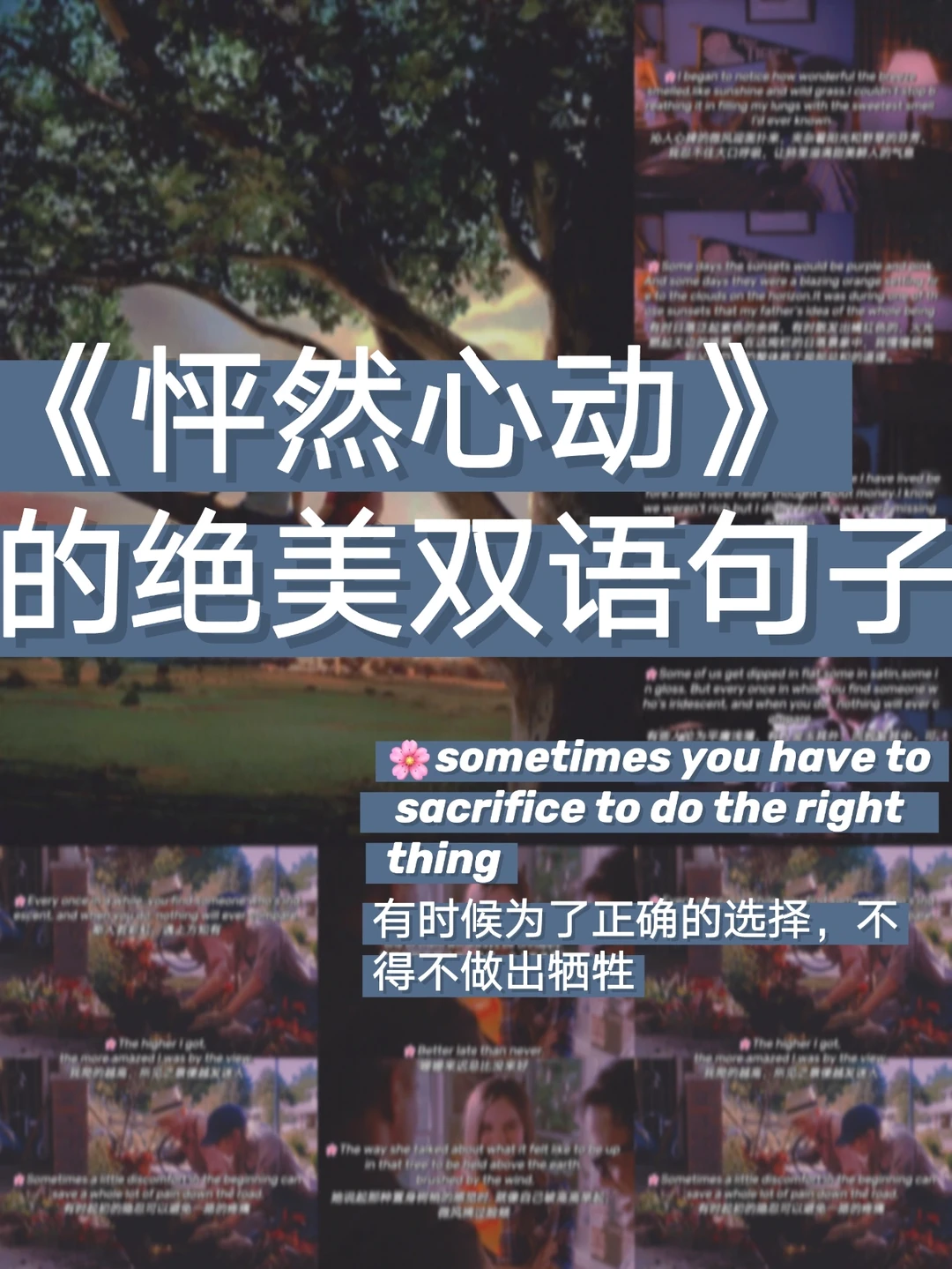 电影怦然心动里的绝美双语句子