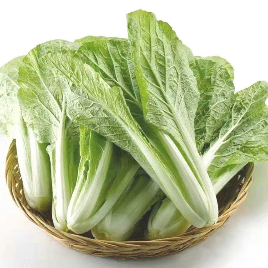 小白菜 新鲜快菜 云南高原小青菜 农家自种 产地现摘现发新鲜蔬菜 二