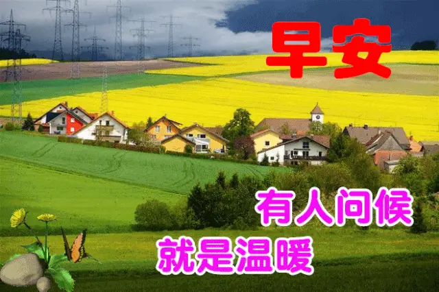 11月5日最漂亮早上好动态表情图片大全早晨好动图美图大全