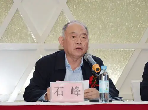 石峰秘书长讲话