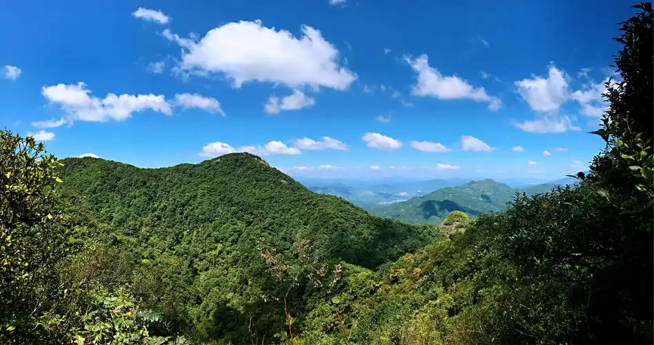巍峨雄伟,叠峦叠嶂__罗石山 - 美篇