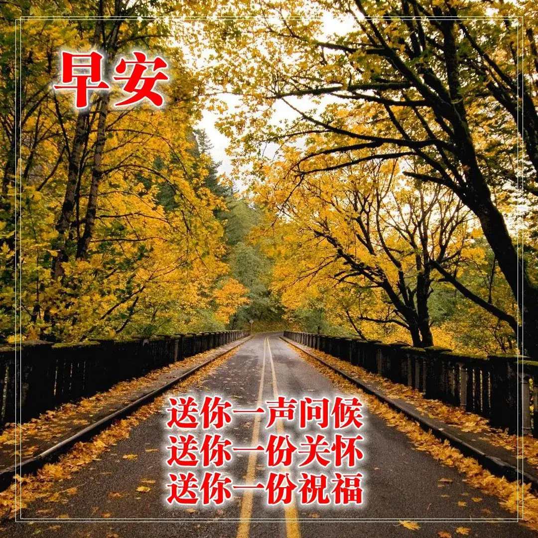 深秋早上好问候语唯美句子2020早晨好问候图片表情合集