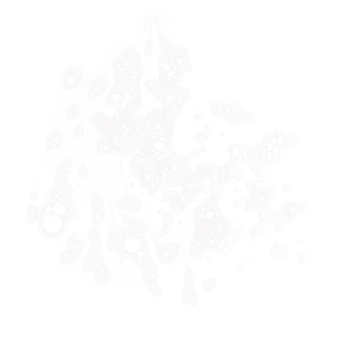 一堆喷发状的白色泡沫