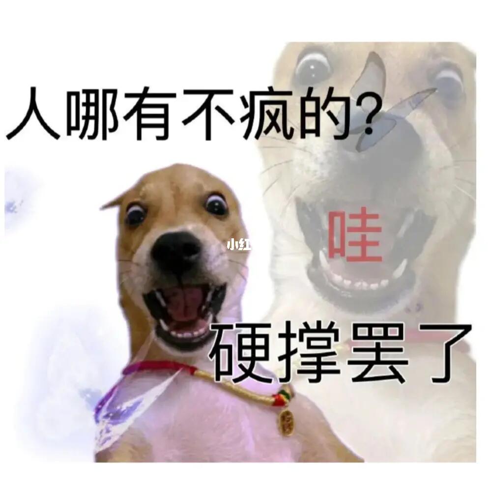 在宿舍待了三天大家都学的怎么样了,本人已疯,26号能解封吗?