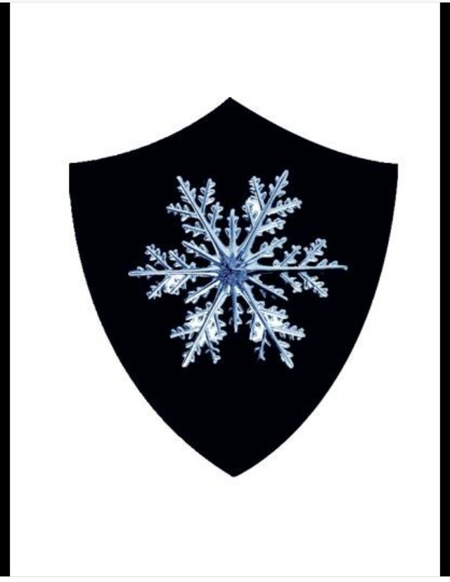 萌学园之星娜之恋