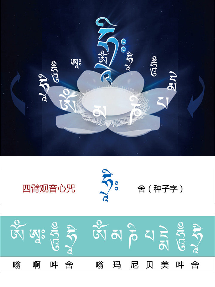 结缘亚青法白莲花四臂观音咒轮种子字舍字观想图画像相纸双面塑封