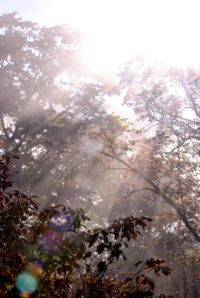 应是水墨画中景,沧海遗珠落人间——大九湖幻境