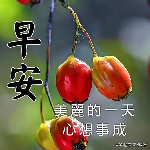 1,最全早上好表情图:最新早上好表情问候大全,一丝牵挂,一份友情,愿你