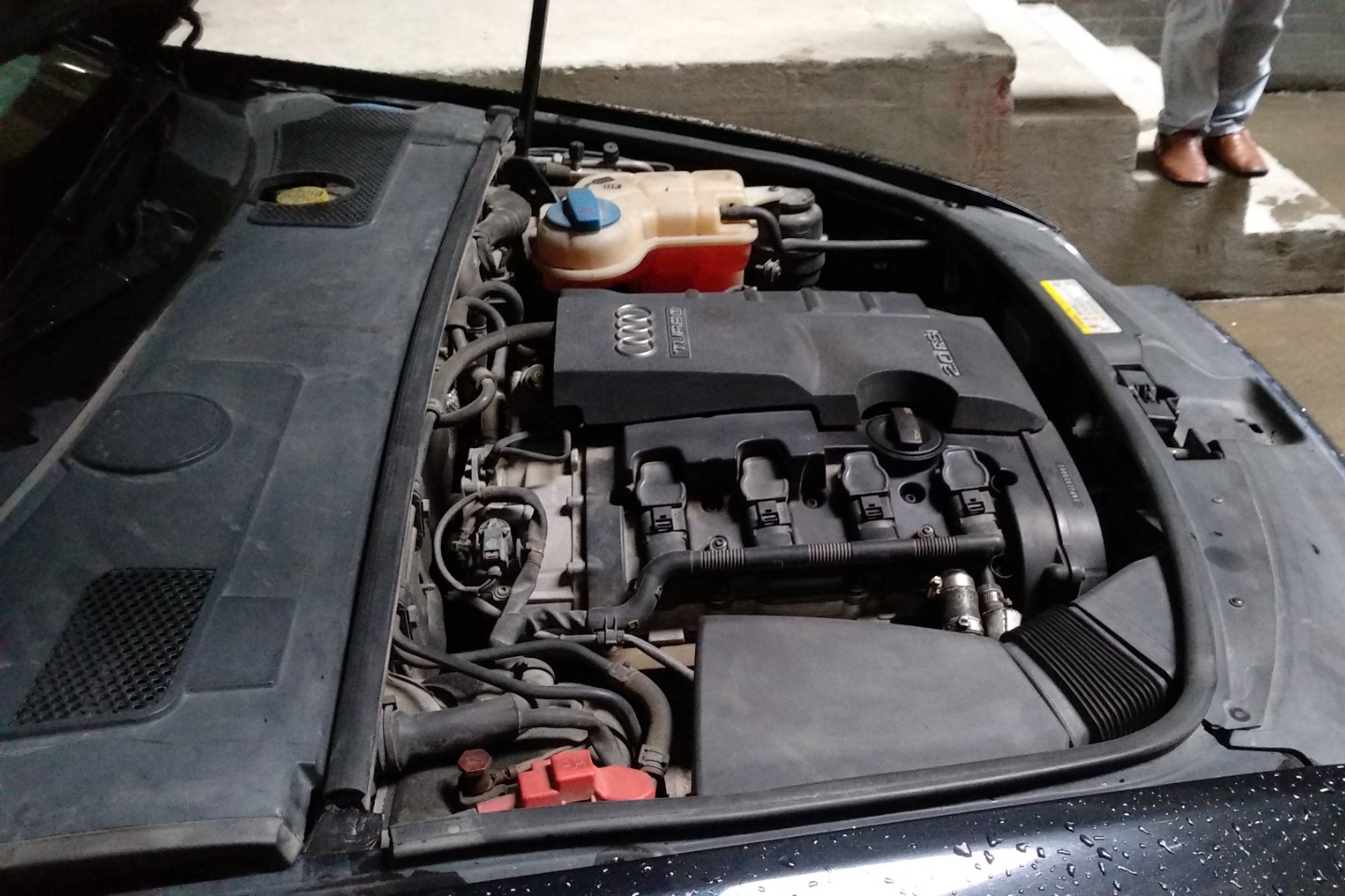 奥迪a6l发动机盖内图解(奥迪a6的发动机盖怎么打开)