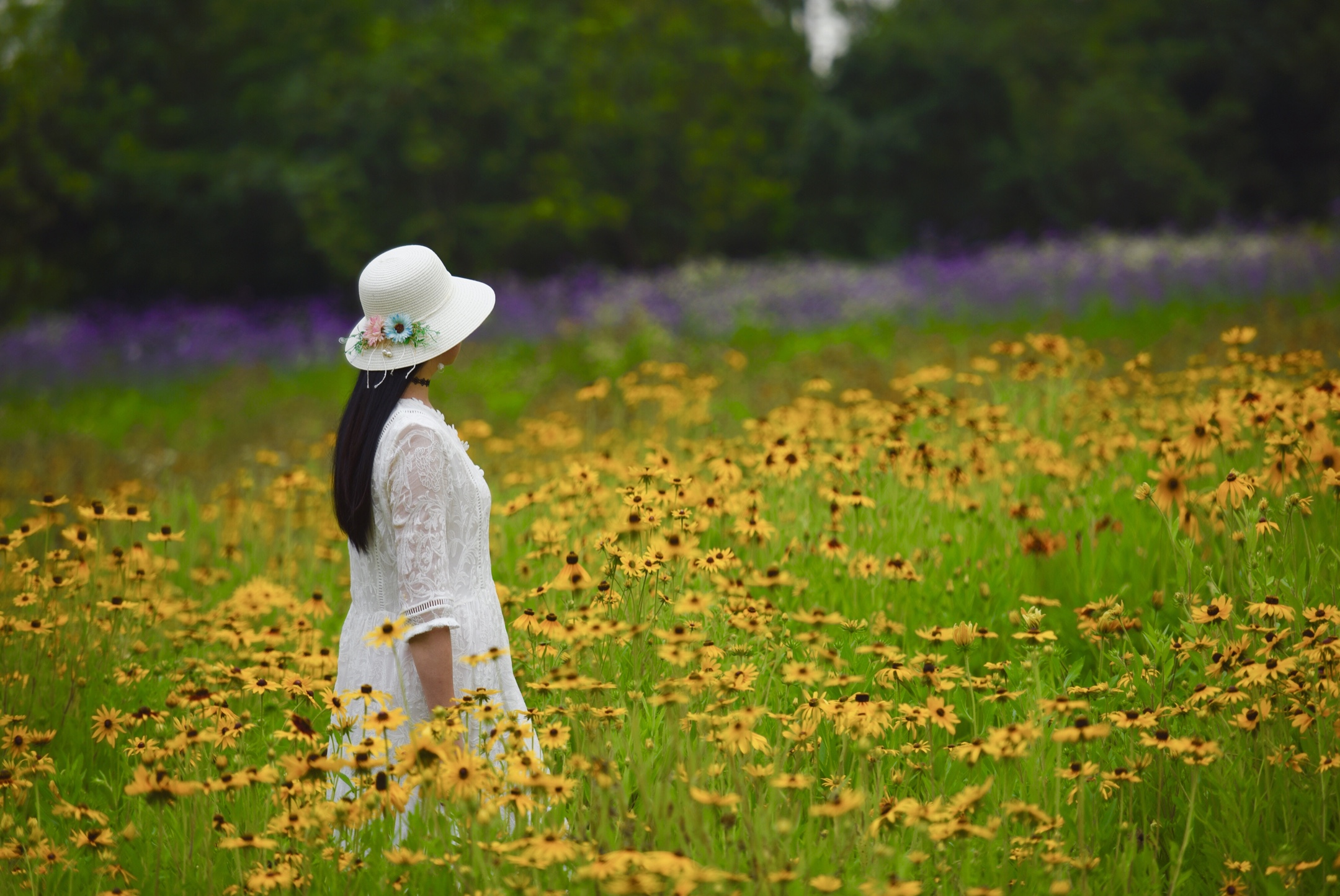 静守己心浅笑安然
