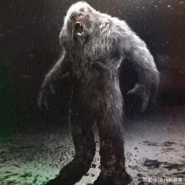 北纬讲异事「雪山上的神秘生物:雪怪」