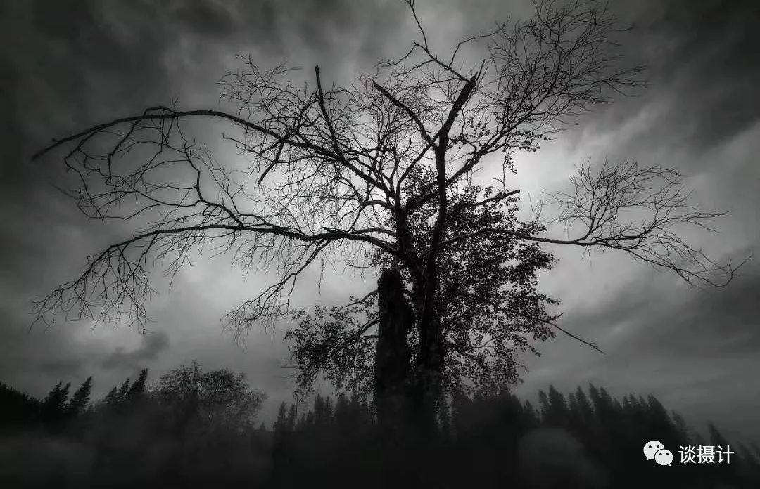 如果这个世界只剩黑白,你会拍点什么?