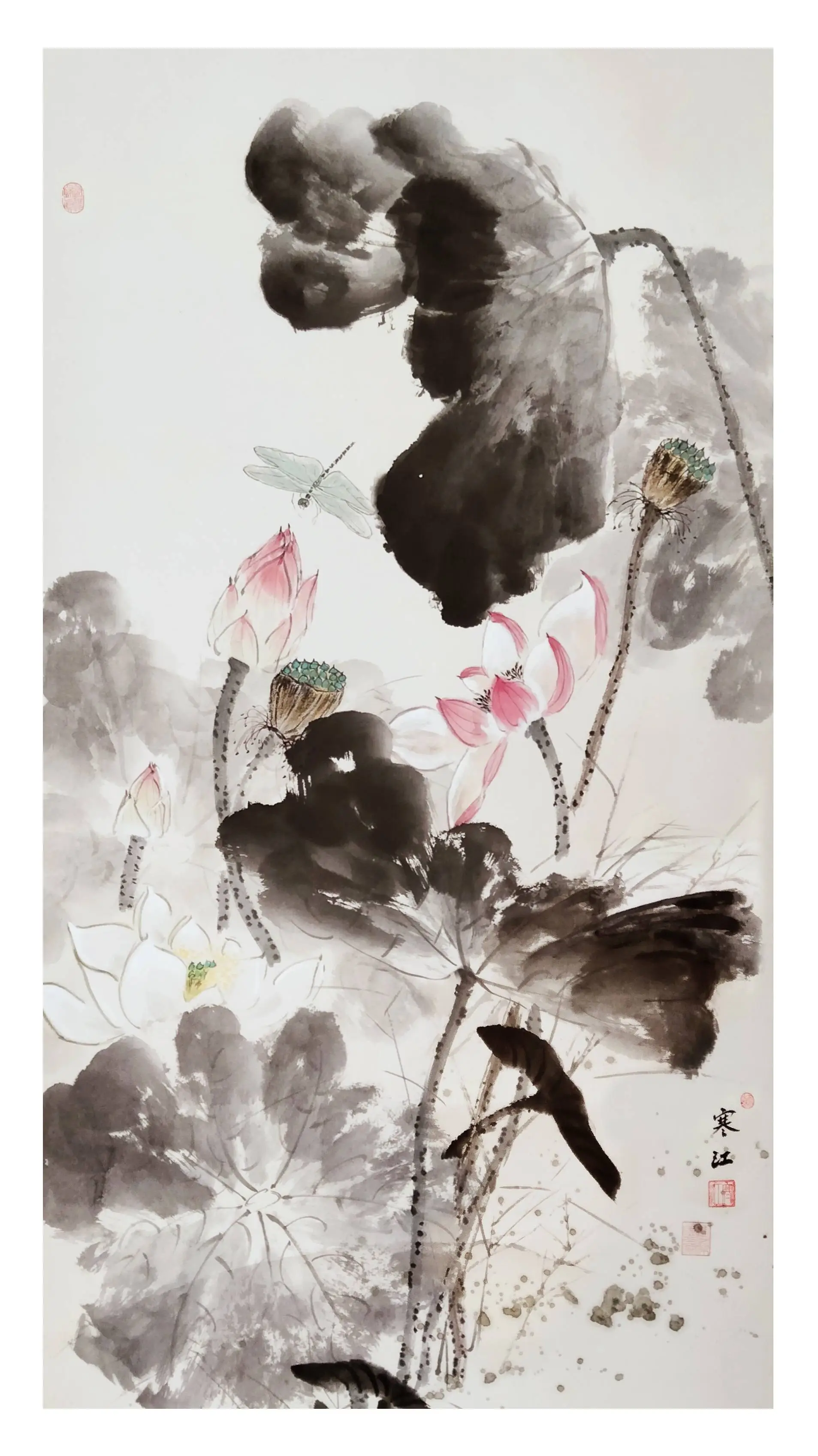 界画寒江---工笔画《荷花小鸟》(2023年第三版)