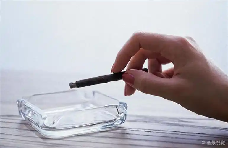 手_女人_小雪茄_雪茄_烟灰缸_吸烟_烟灰_高清图片_全景视觉