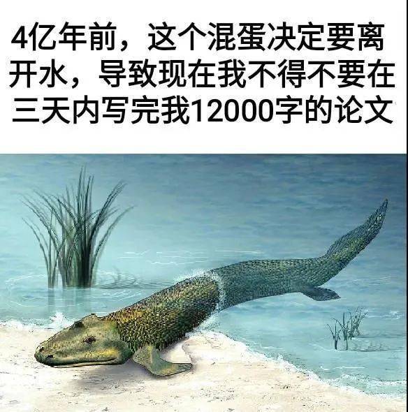 今日的快乐源泉来自这30张爆笑沙雕图