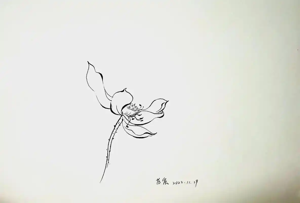 中性笔画荷花.最简单的笔,最简单的画,最爱的花…出淤泥而不 - 抖音
