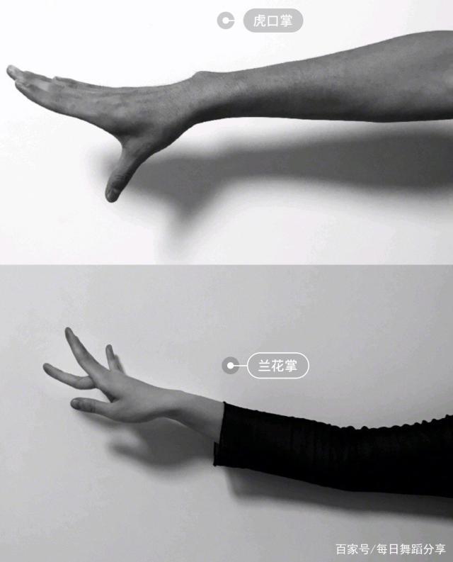 古典舞的基本手位