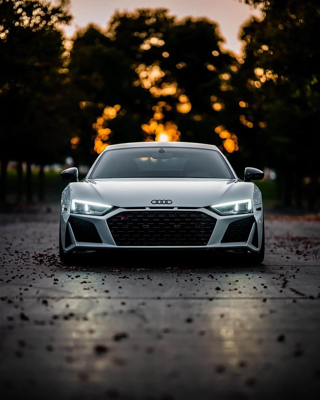 图 奥迪r8的外形科幻帅气感十足,这牌子的车是很多人的梦想之车