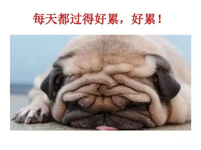 免费文档 所有分类 工作范文 行政公文 主题班会——坚持创造奇迹ppt