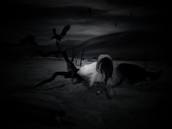 黑色死亡的介绍