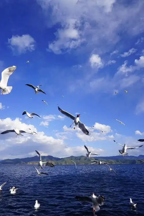 随手拍下的照片都是那么好看.