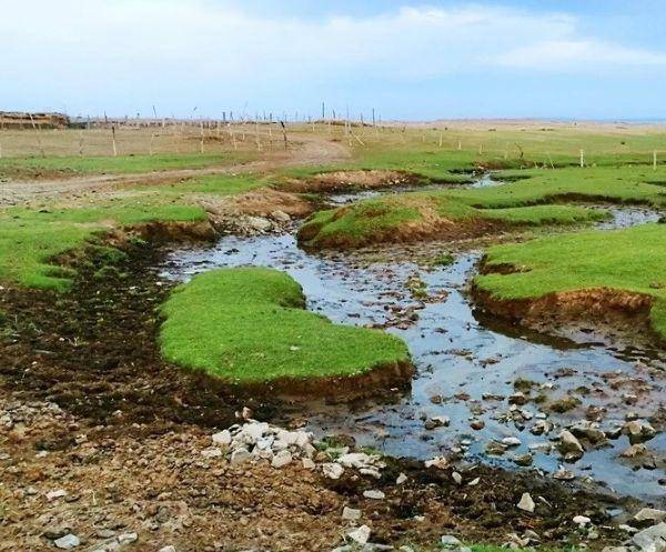 提起世界上的大江大河,想必小伙伴们也能说出来很多,今天就来给大家
