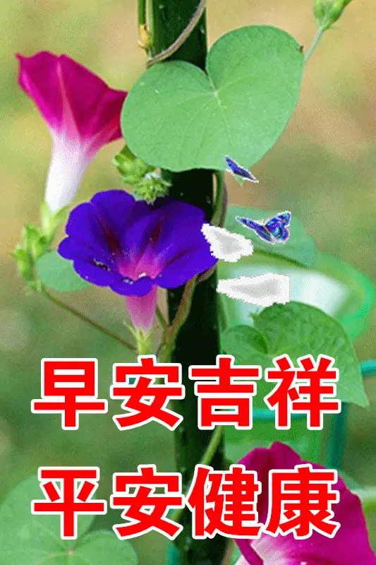 3月1最漂亮早上好动态表情图片大全