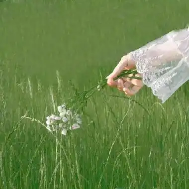 高清好看的小清新绿色女生真人头像 干净绿色系唯美意境女头合集_女生