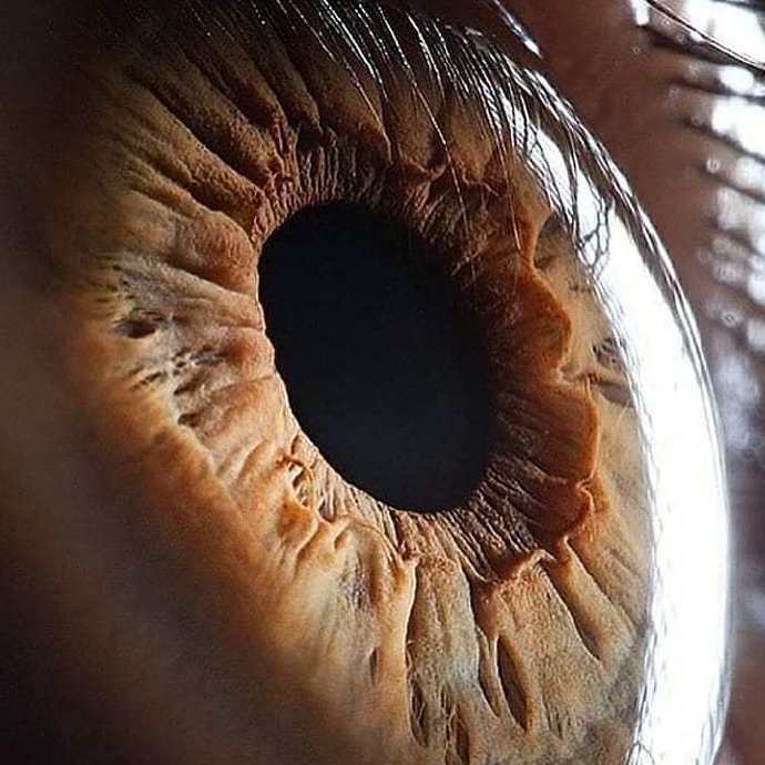 这是一组关于"眼睛"的图当你凝视着深渊,深渊也在凝视着你.