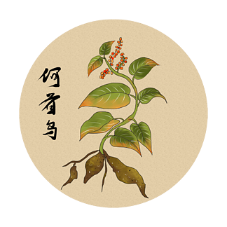 【,何首乌】图片免费下载_,何首乌素材_,何首乌模板-千图网