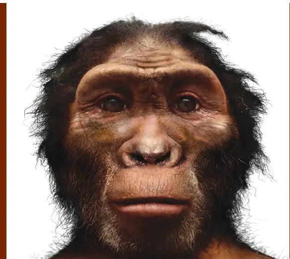 远古时代,人类的诞生_智人_直立人_山顶洞人