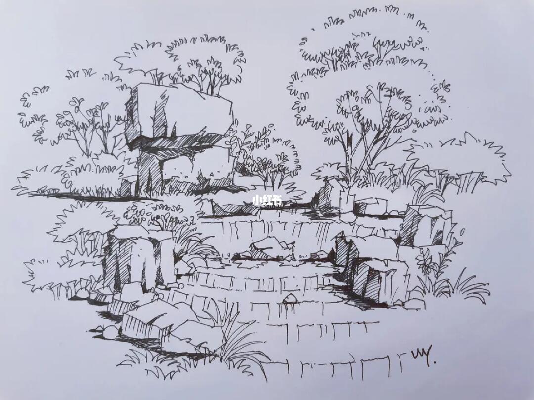 景观手绘公园一角的石与植物